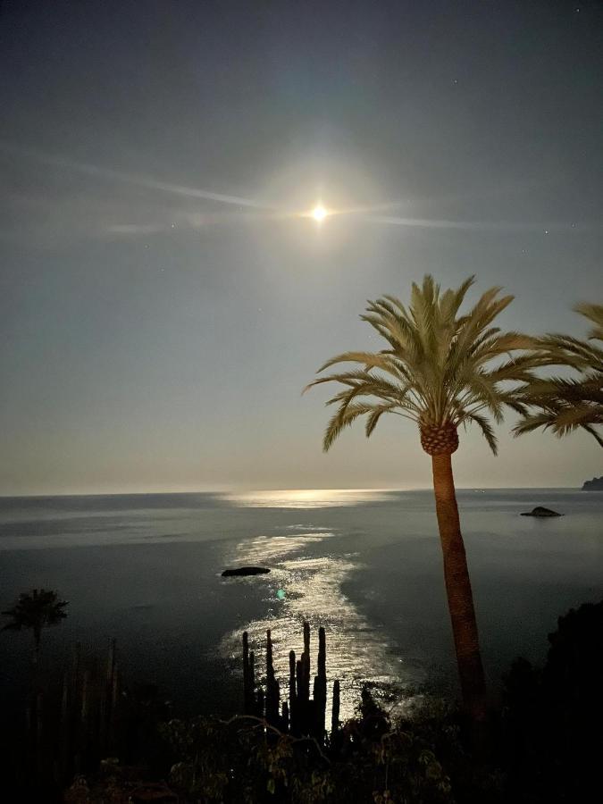 El Jardin Botanico Villa Luz Altea Kültér fotó