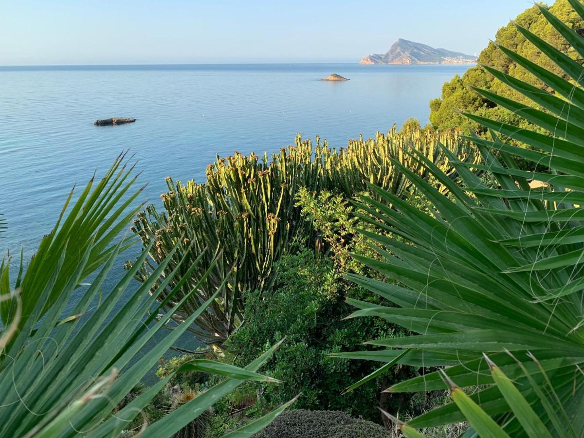 El Jardin Botanico Villa Luz Altea Kültér fotó