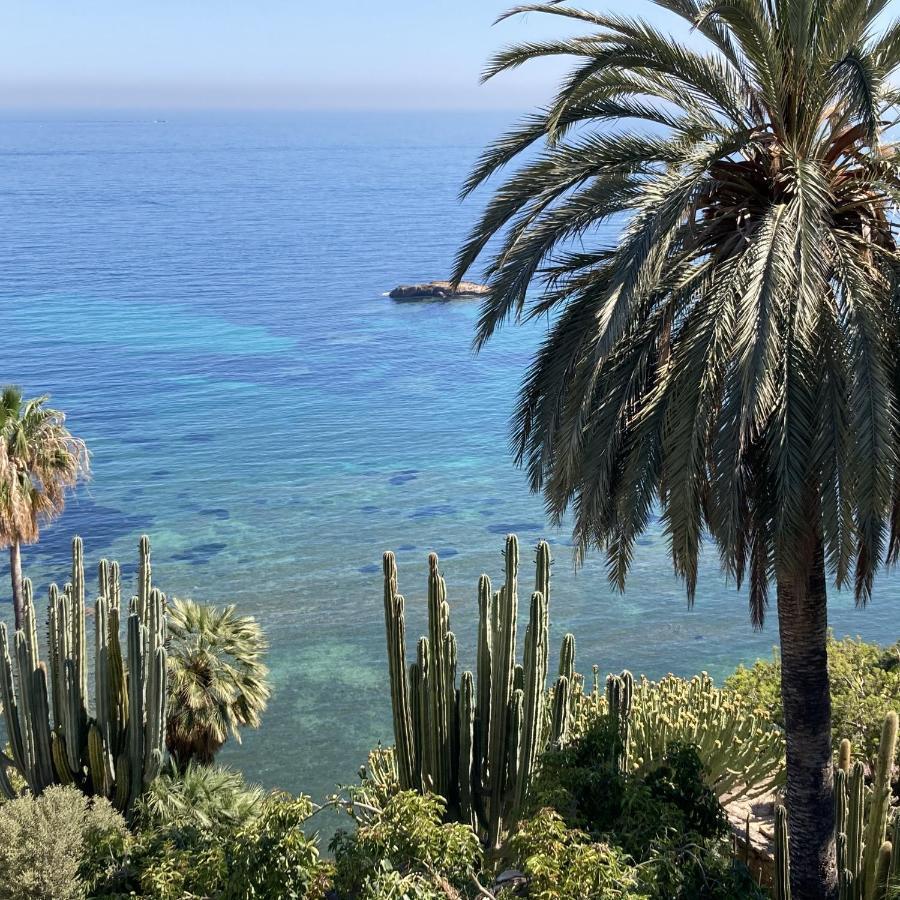 El Jardin Botanico Villa Luz Altea Kültér fotó